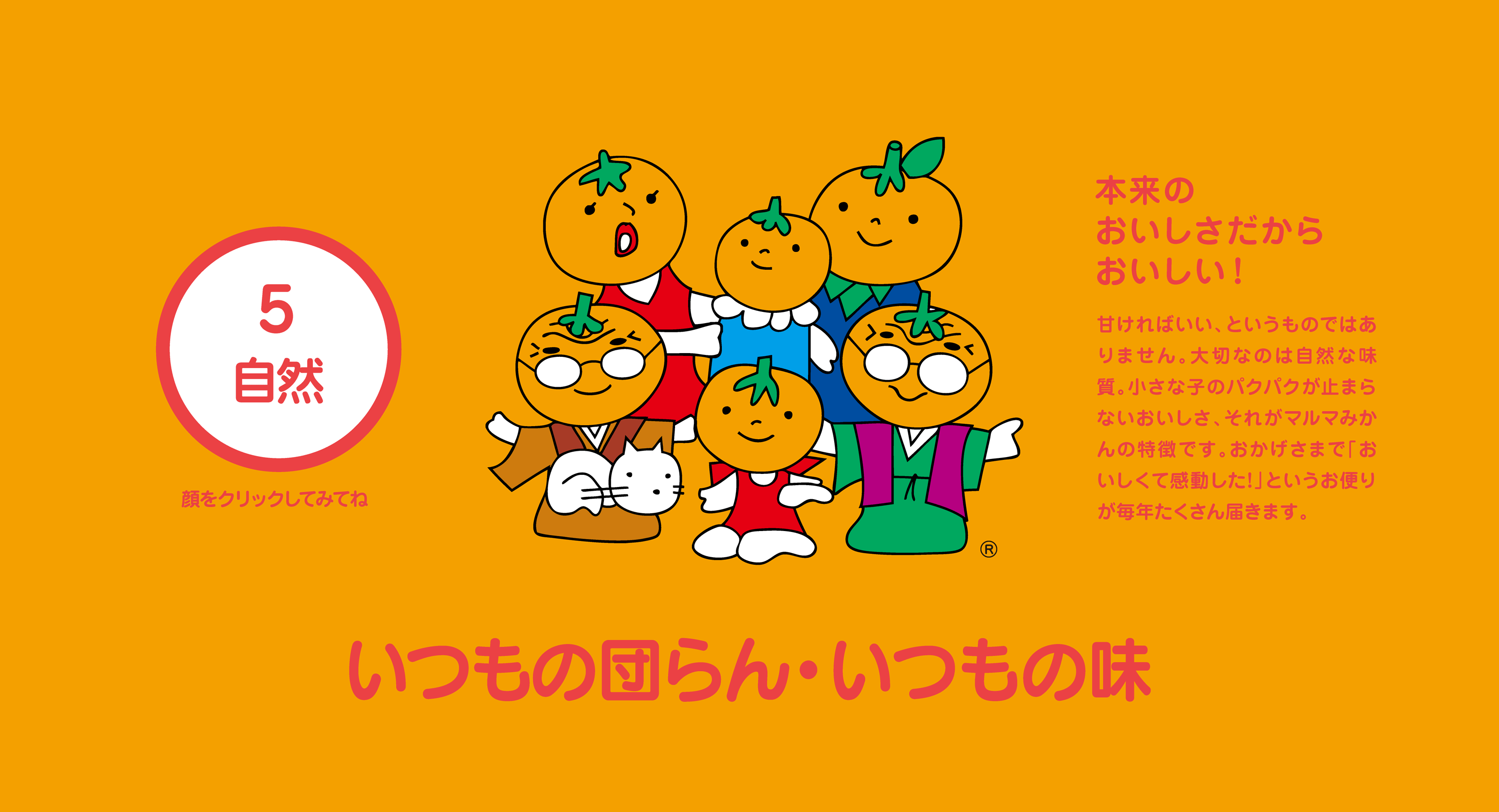 マルマみかん｜株式会社マルマ 静岡県三ケ日町